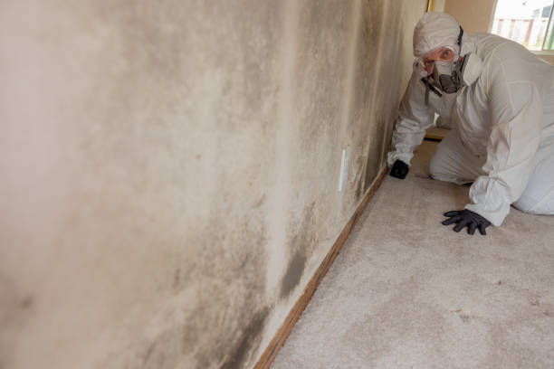 Best Comprehensive Air Testing for Mold Contaminants  in Glassport, PA
