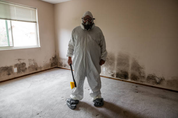 Best Mold Damage Restoration  in Glassport, PA